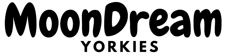 cropped-Moon__dream.png