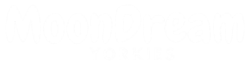 moon-ddream